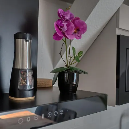 Dresdenstay Modern 3 Schlafzimmer Kamin Ps4 Kicker Δρέσδη