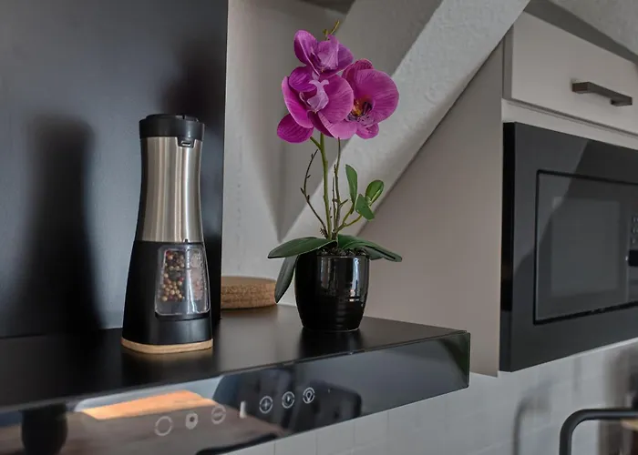 Dresdenstay Modern 3 Schlafzimmer Kamin Ps4 Kicker Δρέσδη